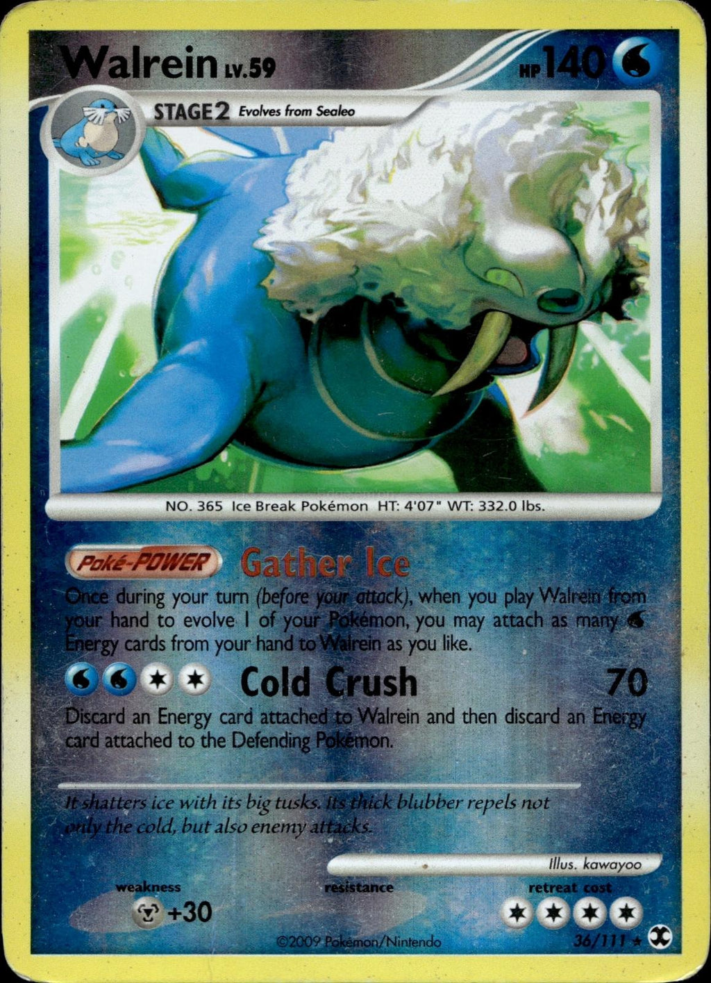 Walrein 36/111 MP Rare Rising Rivals Pokemon Reverse Holo