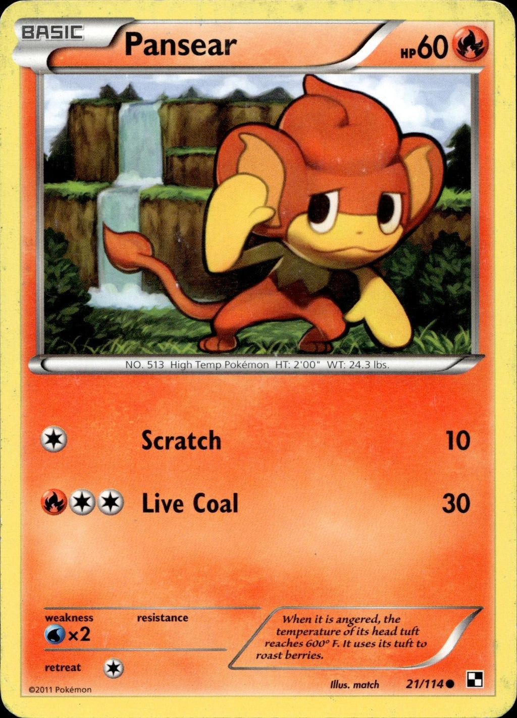 Pansear 21/114 HP Common Black & White Pokemon