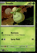 Smoliv 023 NM/M Promo Scarlet & Violet Promo Pokemon Holo