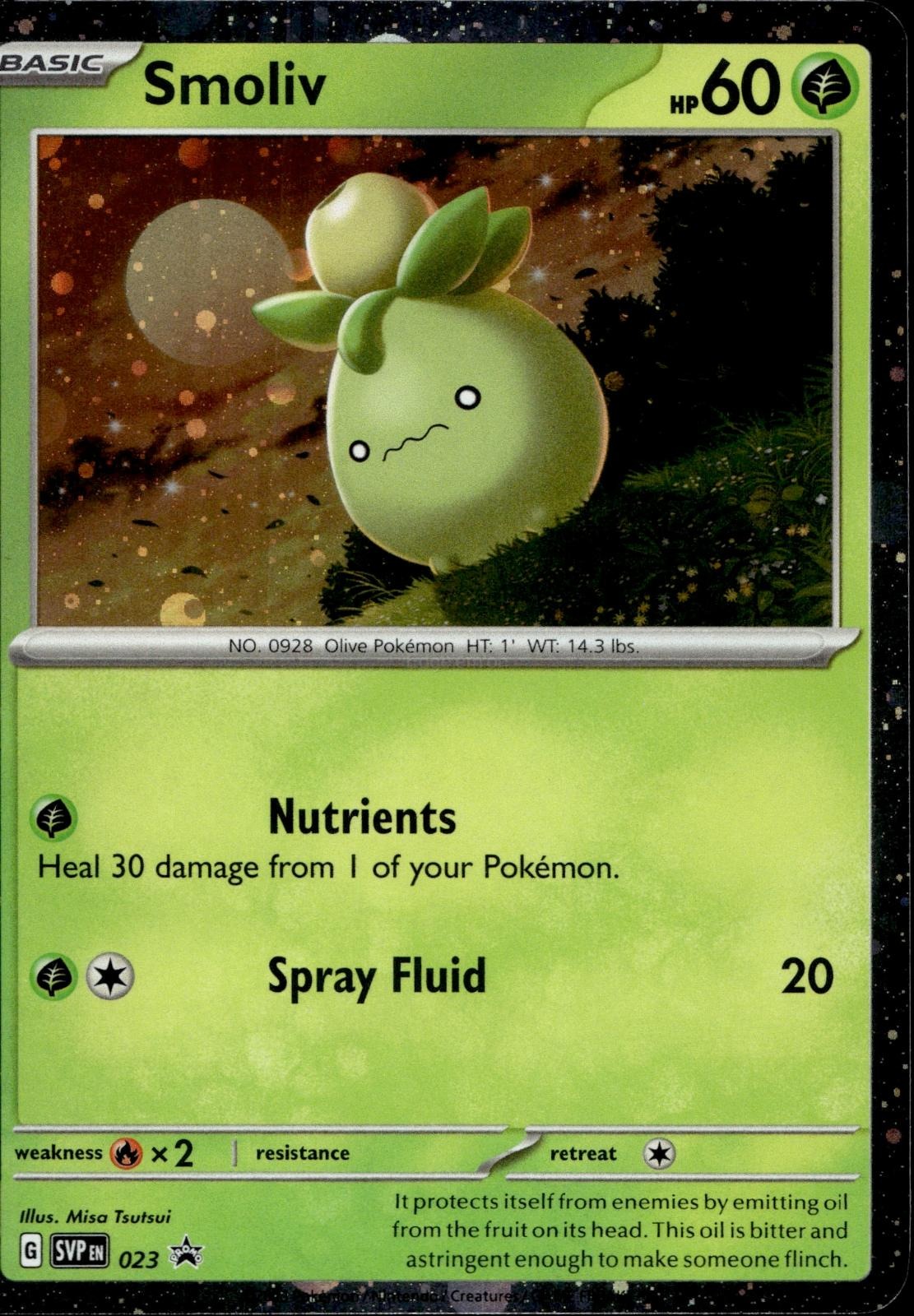 Smoliv 023 NM/M Promo Scarlet & Violet Promo Pokemon Holo