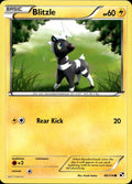 Blitzle 40/114 MP Common Black & White Pokemon