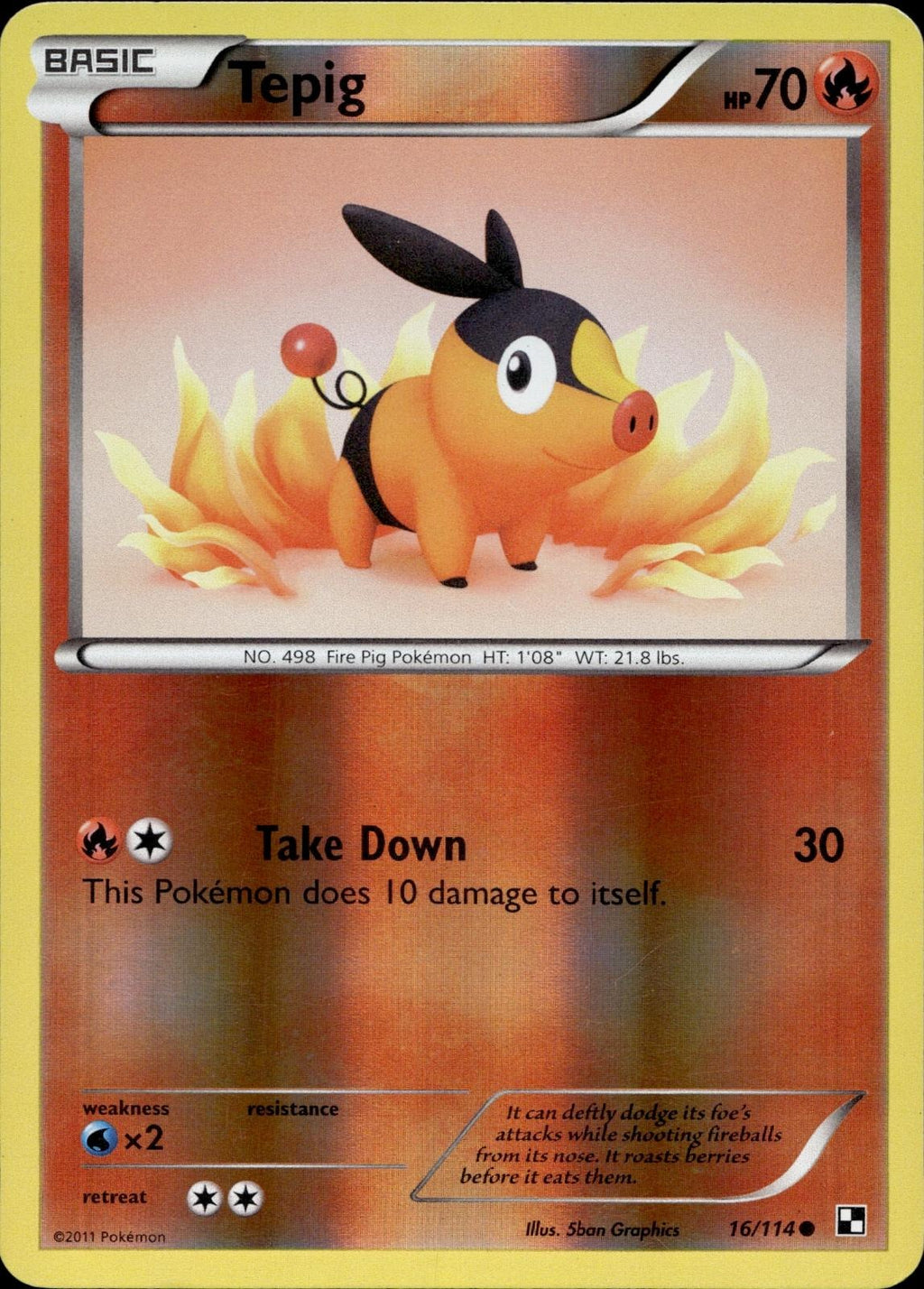 Tepig 16/114 MP Common Black & White Pokemon Reverse Holo