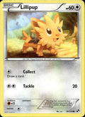 Lillipup 81/114 HP Common Black & White Pokemon