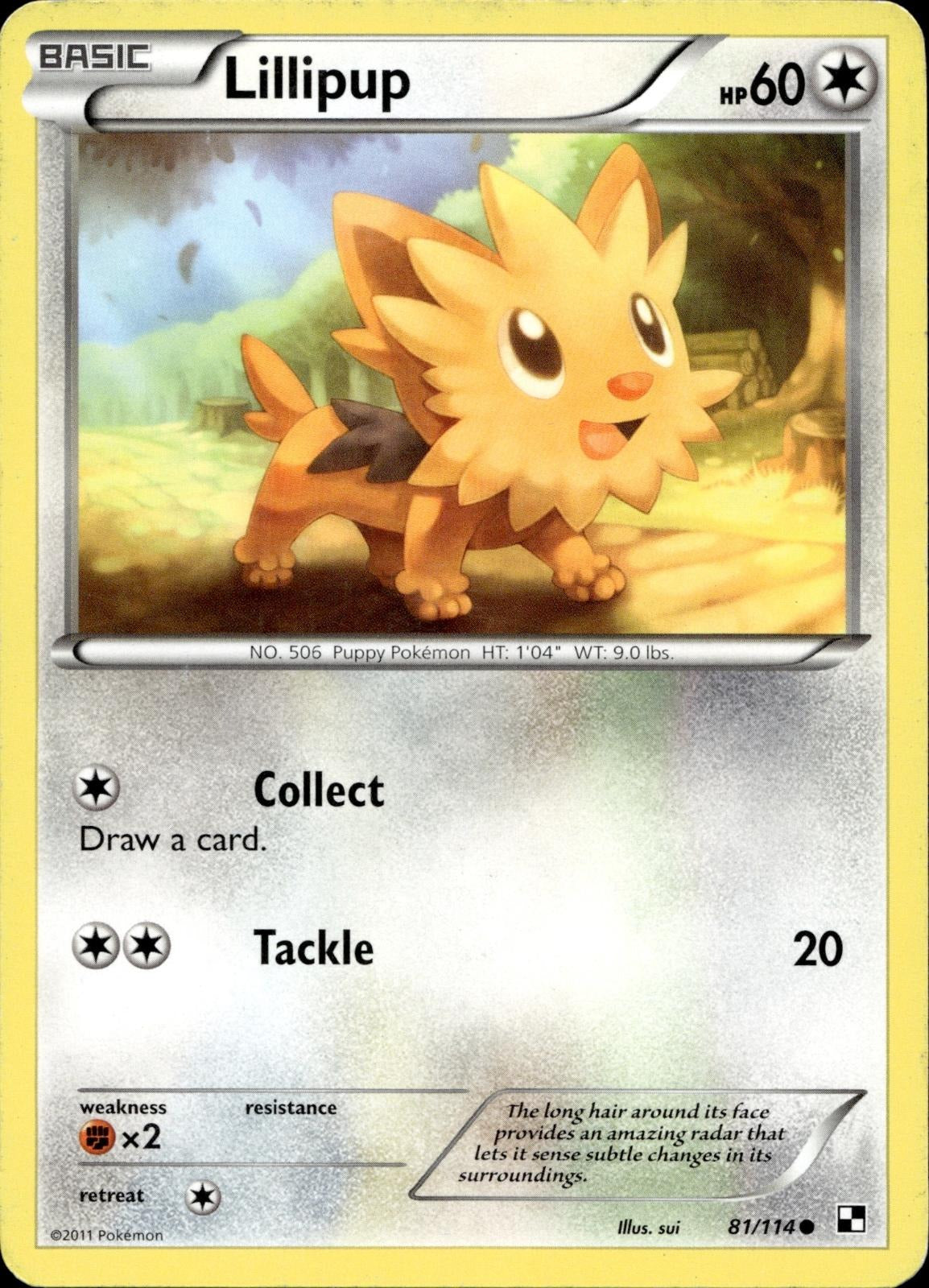 Lillipup 81/114 HP Common Black & White Pokemon