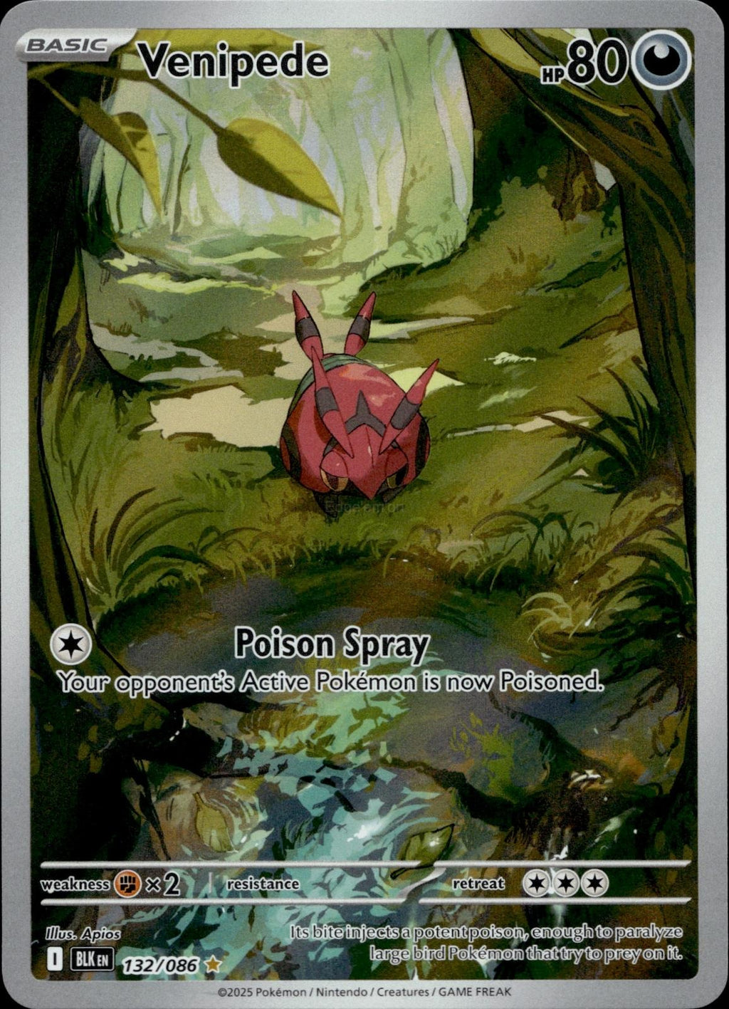 Venipede 132/086 NM/M Illustration Rare Black Bolt Pokemon Holo