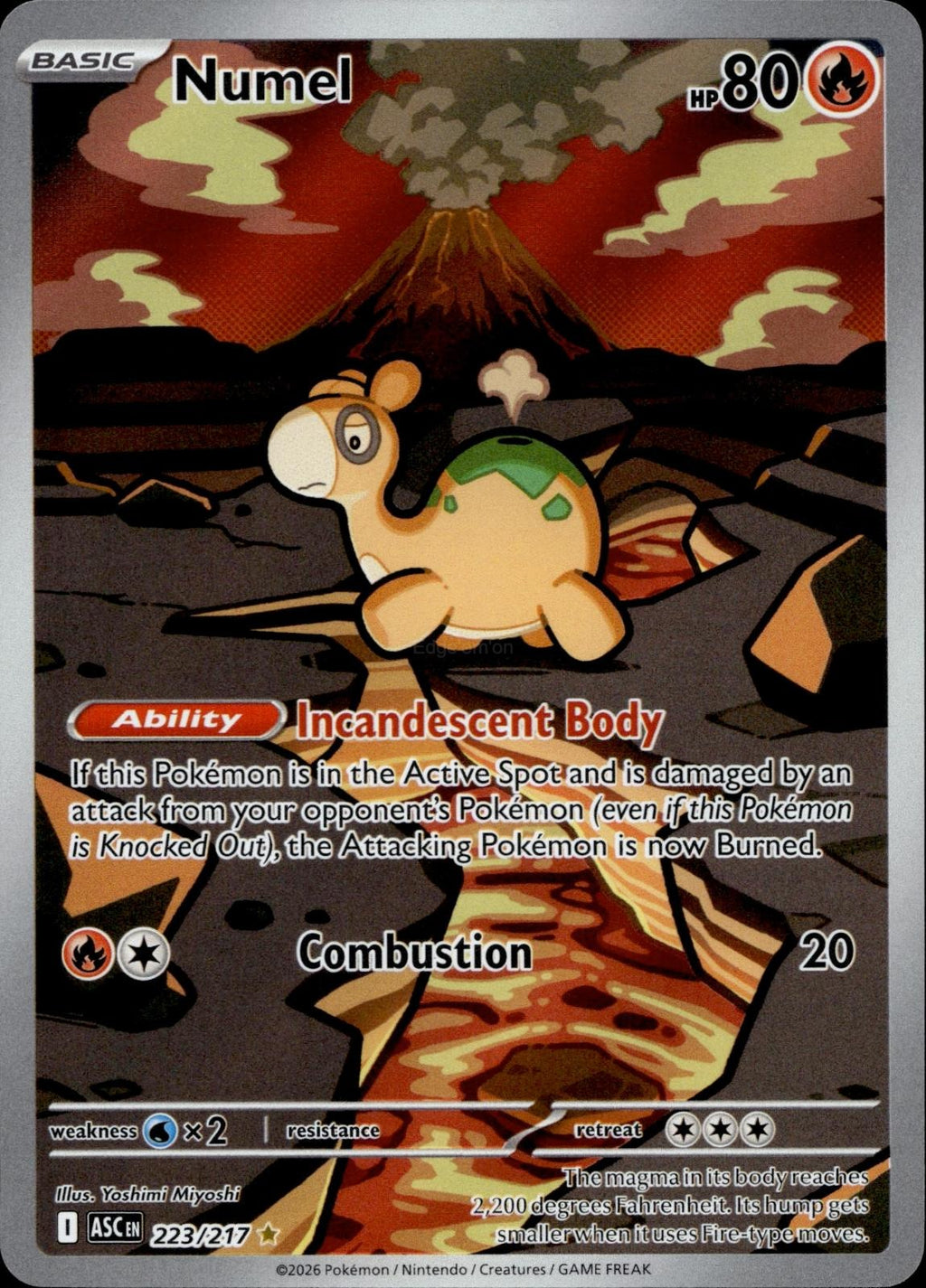 Numel 223/217 NM/M Illustration Rare Ascended Heroes Pokemon Holo