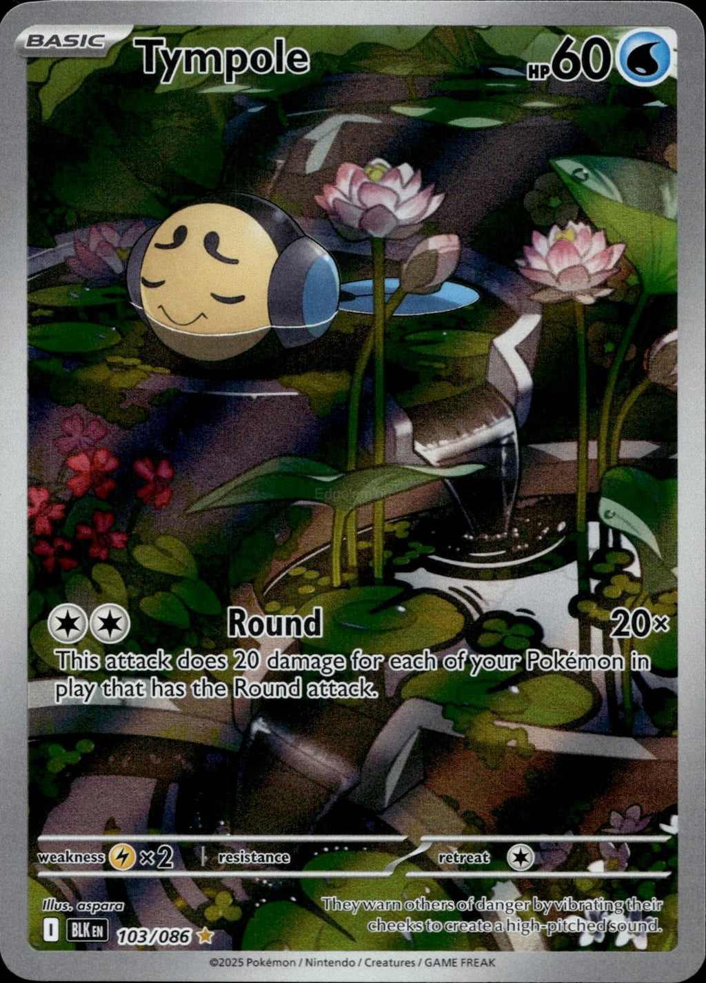 Tympole 103/086 NM/M Illustration Rare Black Bolt Pokemon Holo