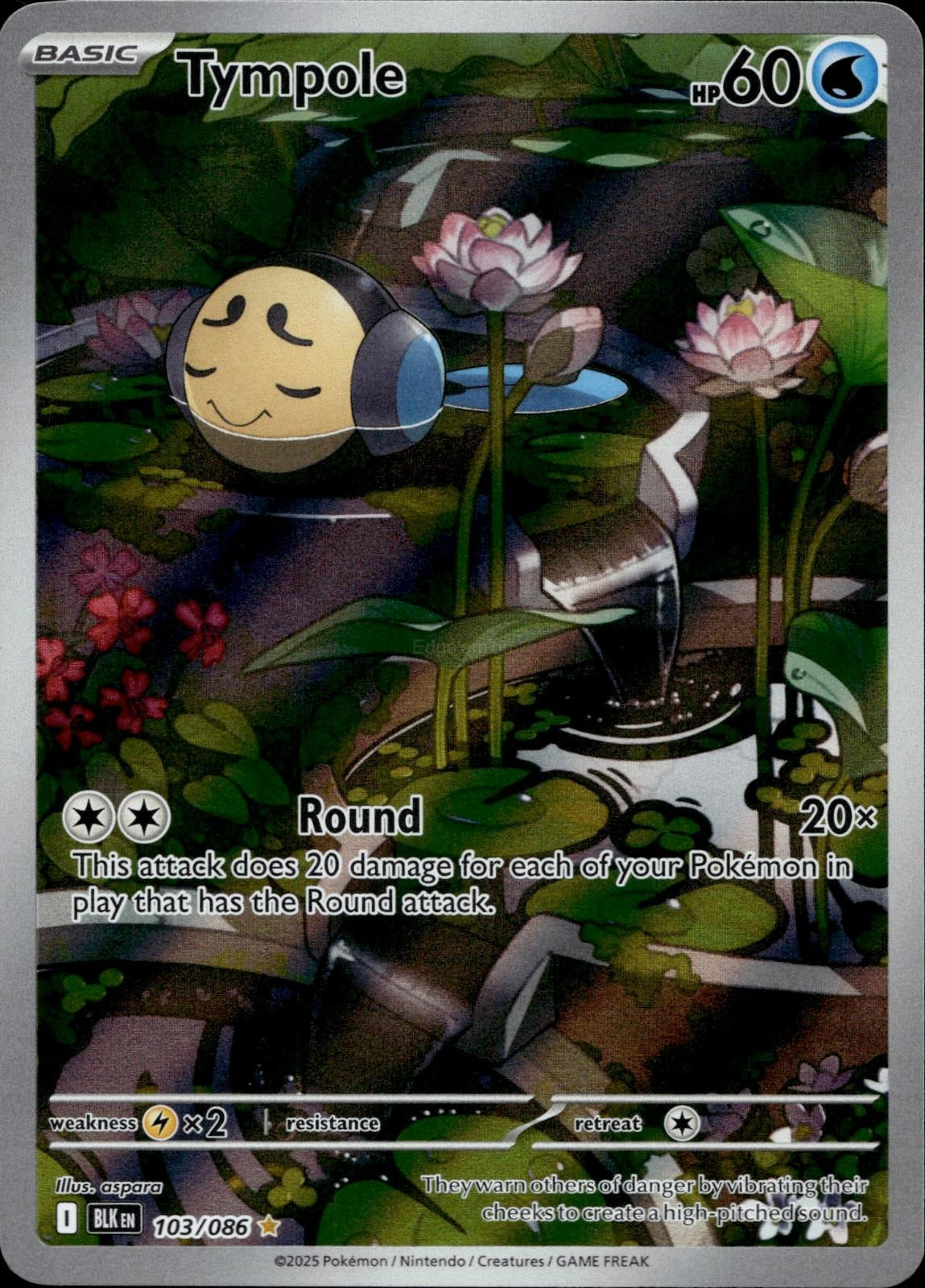Tympole 103/086 NM/M Illustration Rare Black Bolt Pokemon Holo