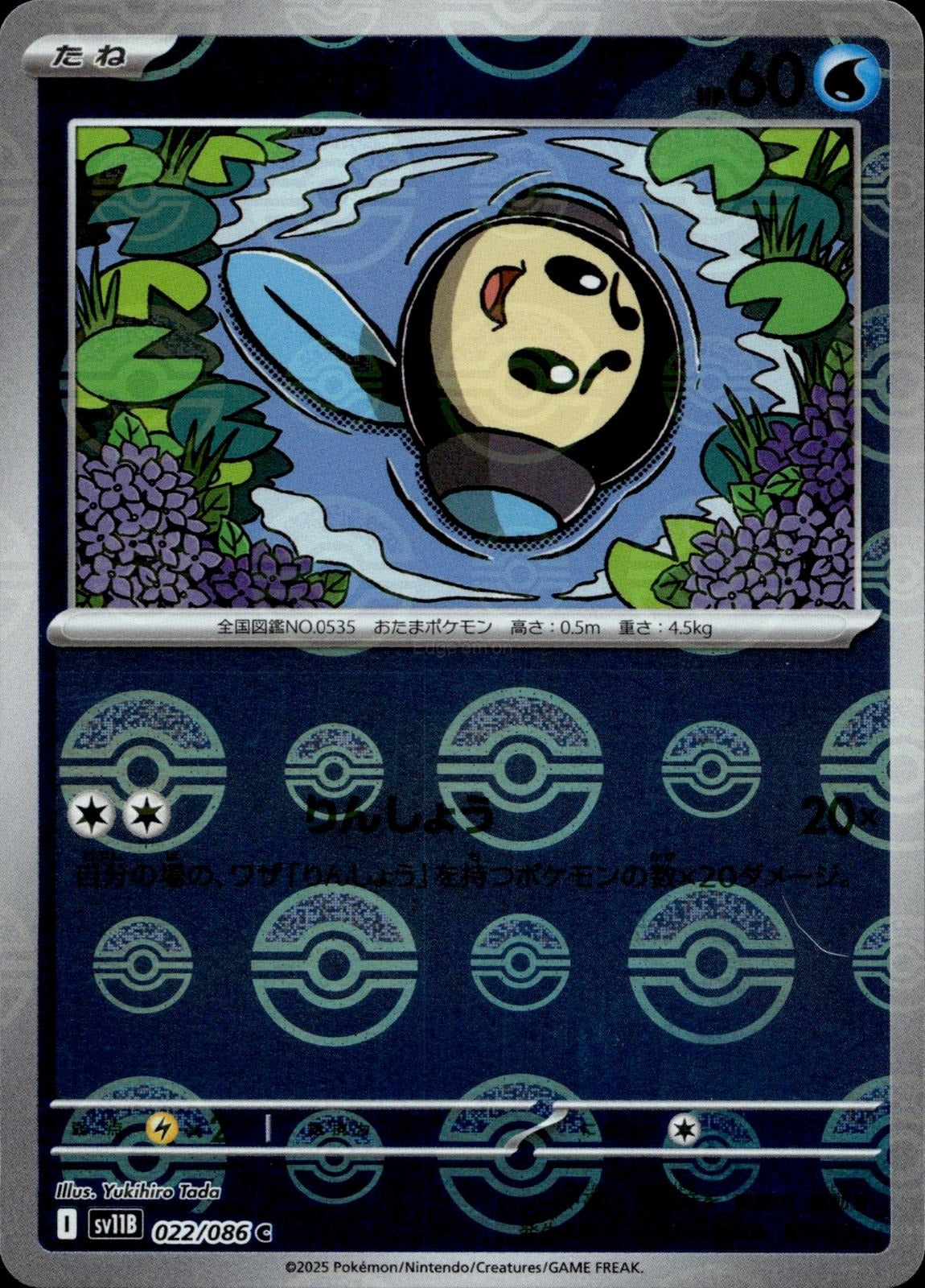 Tympole (Poke Ball Pattern) 022/086 NM/M SV11B: Black Bolt Pokemon Japanese Holo