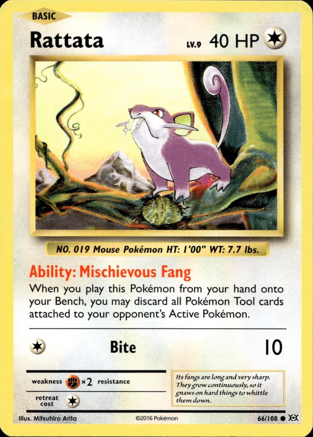 Rattata 66/108 MP Common Evolutions Pokemon