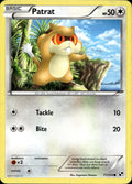 Patrat 77/114 HP Common Black & White Pokemon